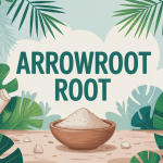 arrowroot root racine poudre et feuilles tropicales