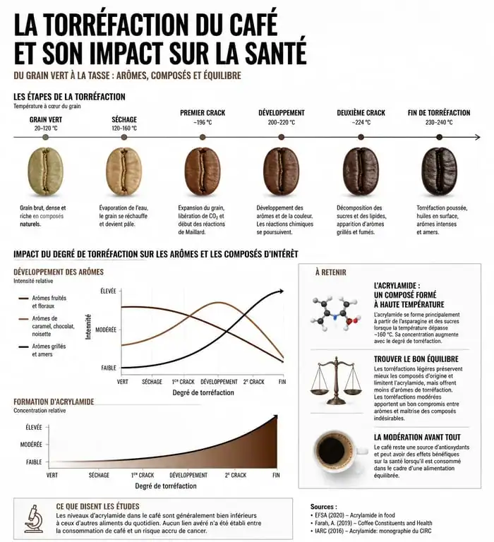 Infographie sur la torréfaction du café et la qualité des dosettes Senseo